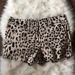 Cache Shorts Size 12 Cheetah animal print